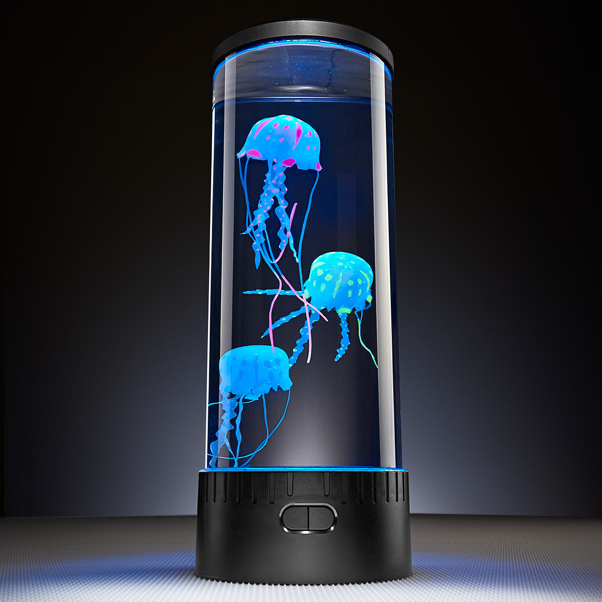 Jellyfish Aquarium