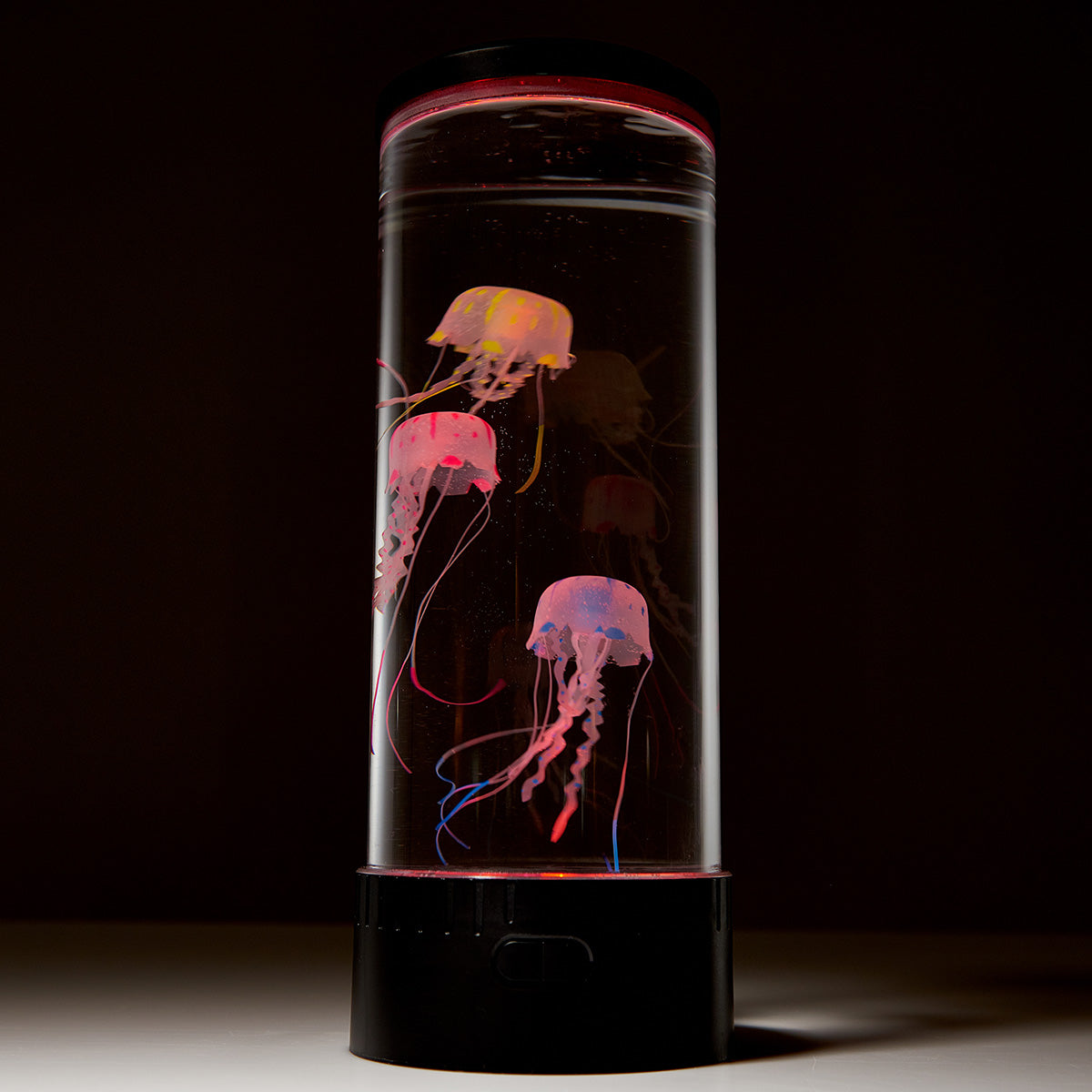 Jellyfish Aquarium