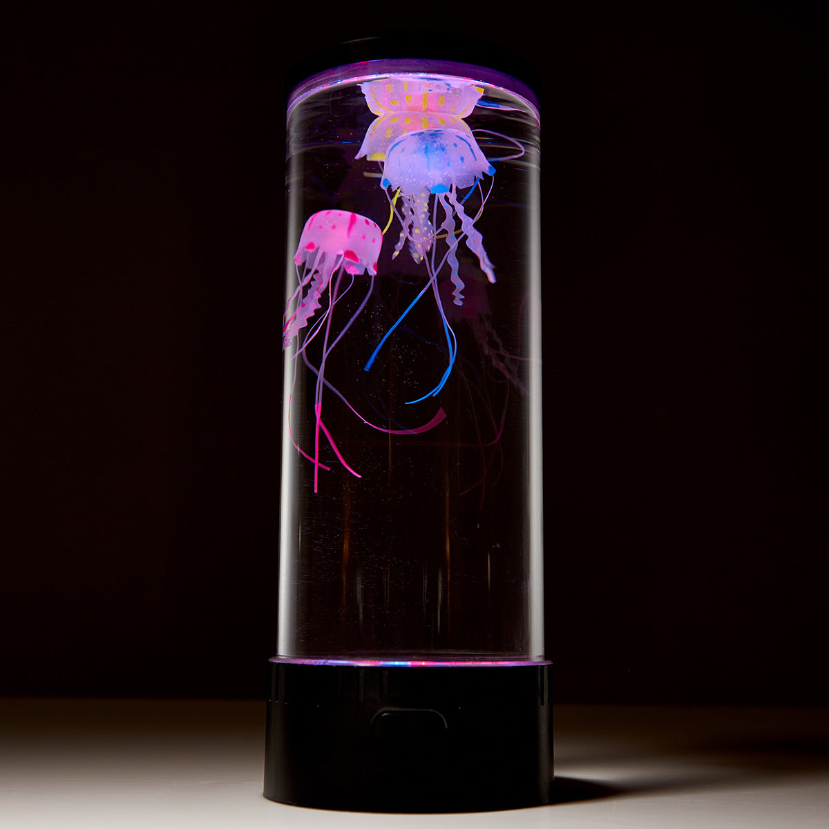 Jellyfish Aquarium