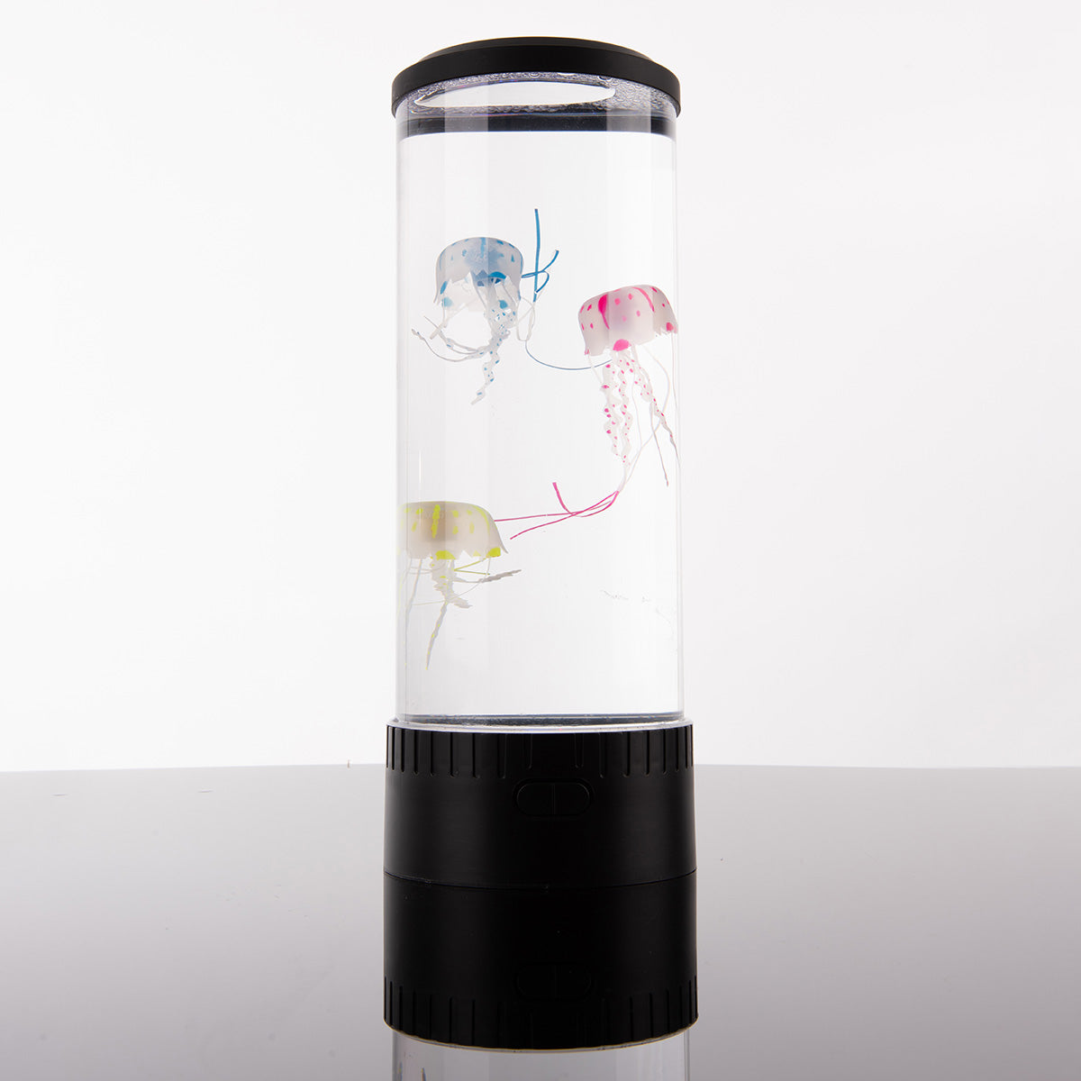 Jellyfish Aquarium