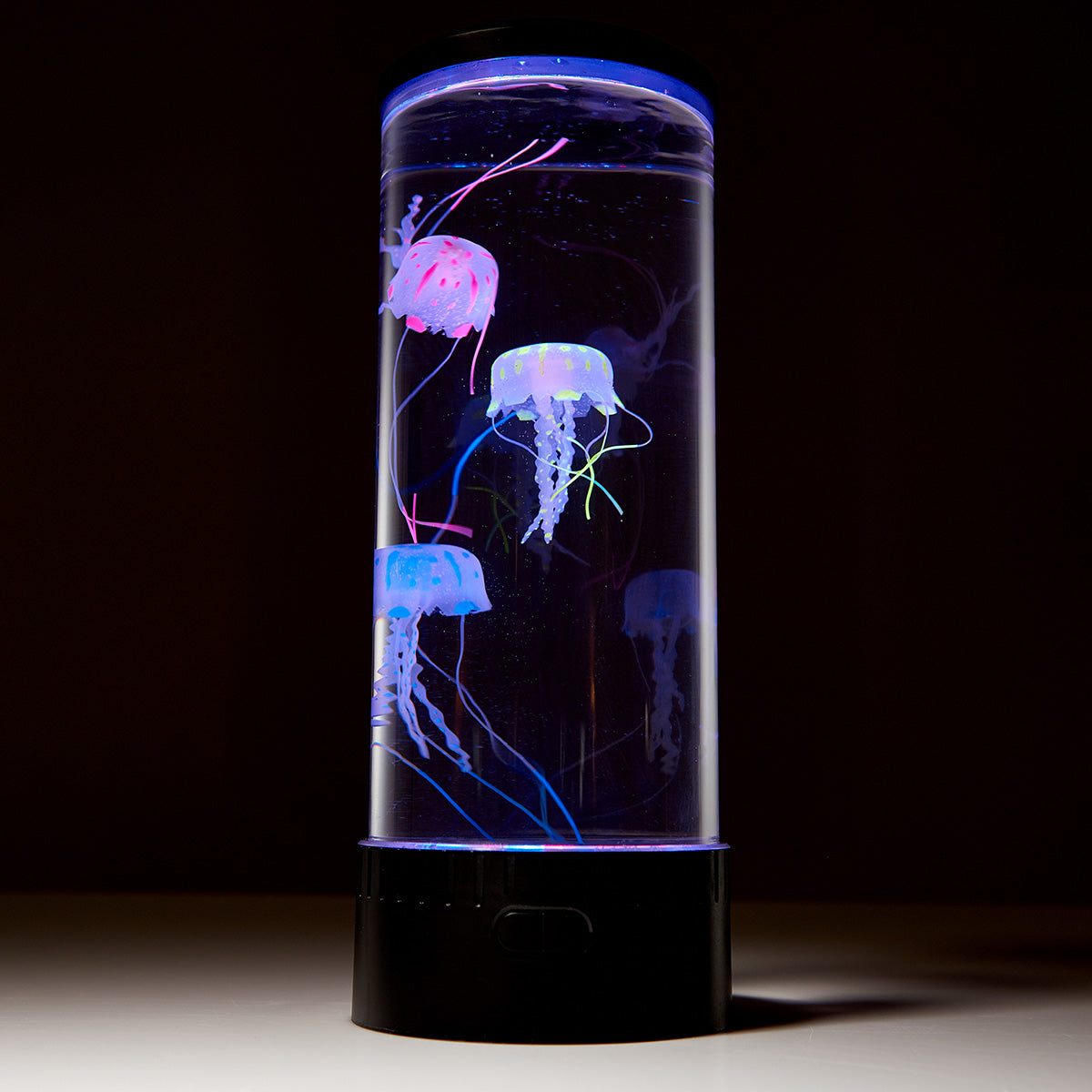 Jellyfish Aquarium