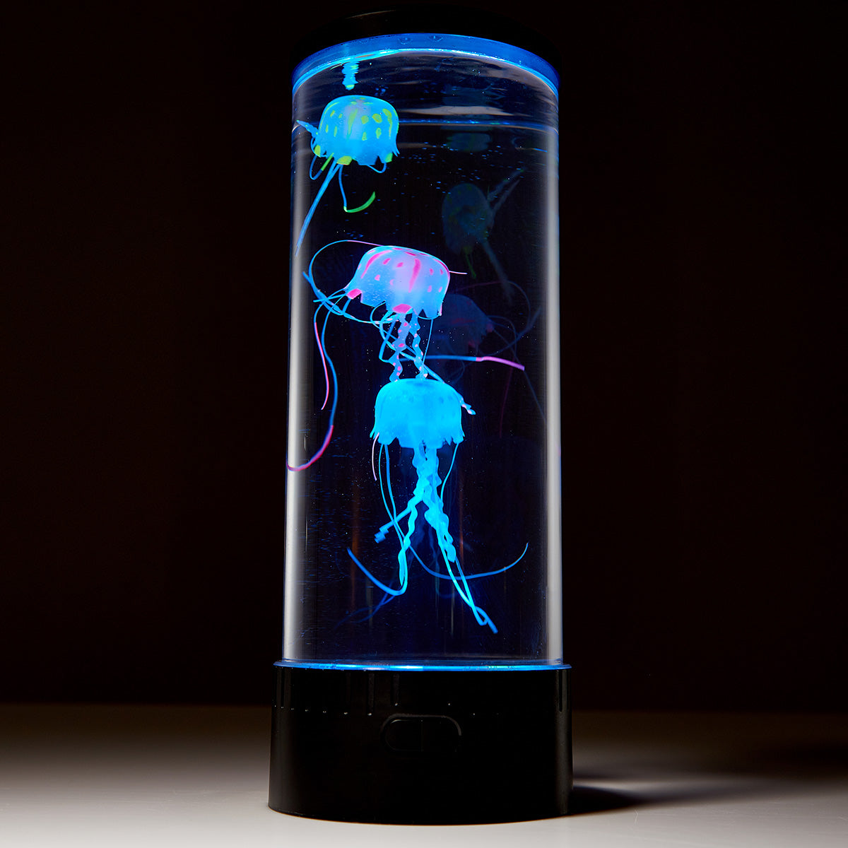 Jellyfish Aquarium