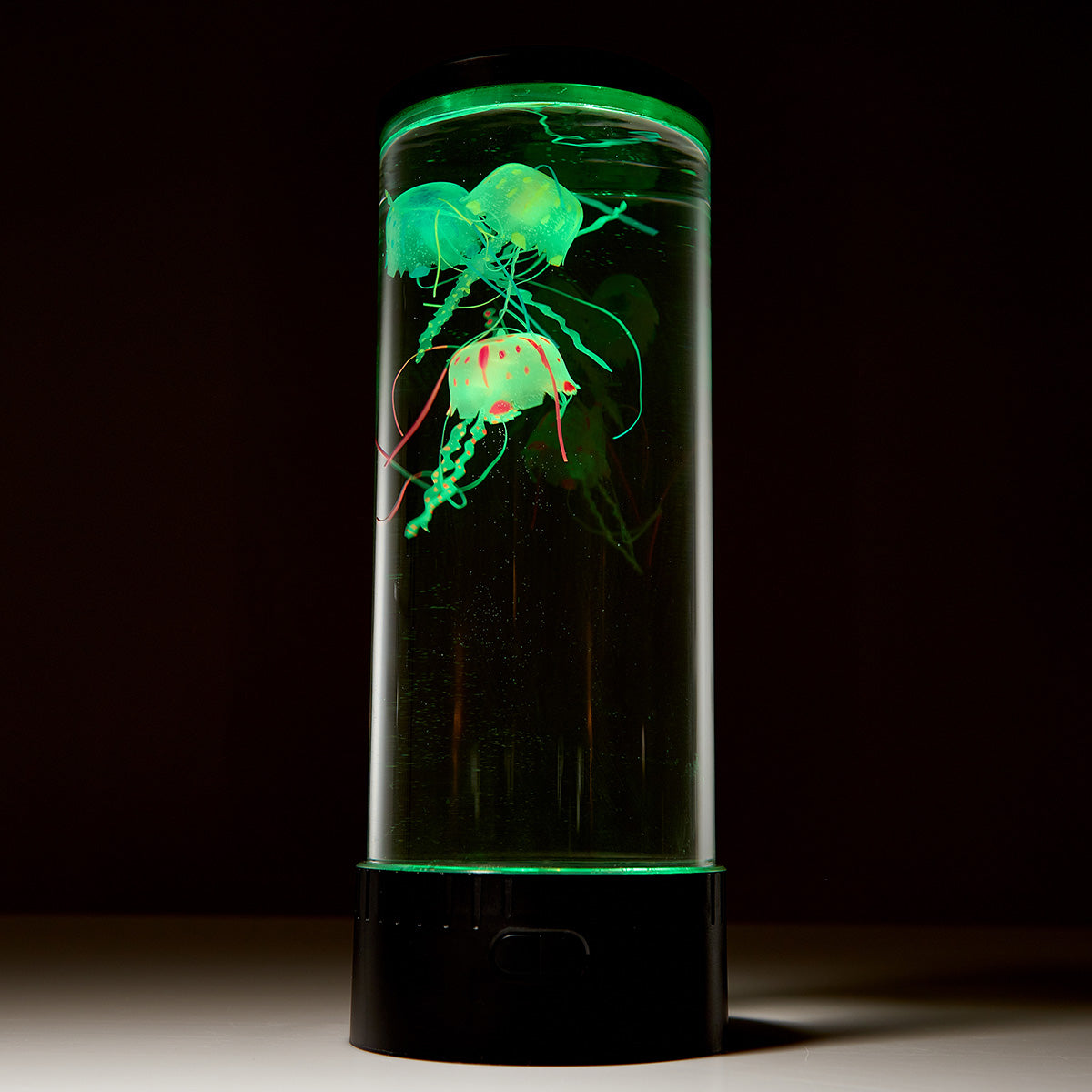 Jellyfish Aquarium
