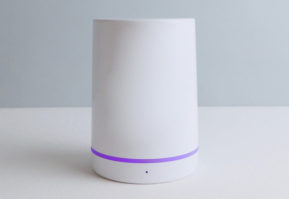 Smart Voice-Activated Lock Box