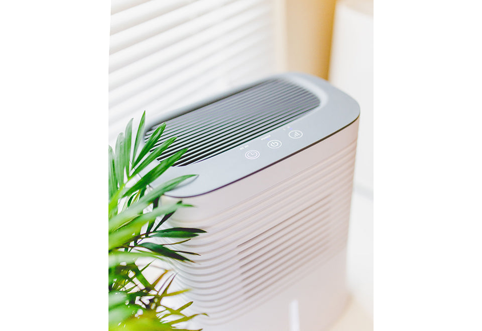 4 Pint Dehumidifier