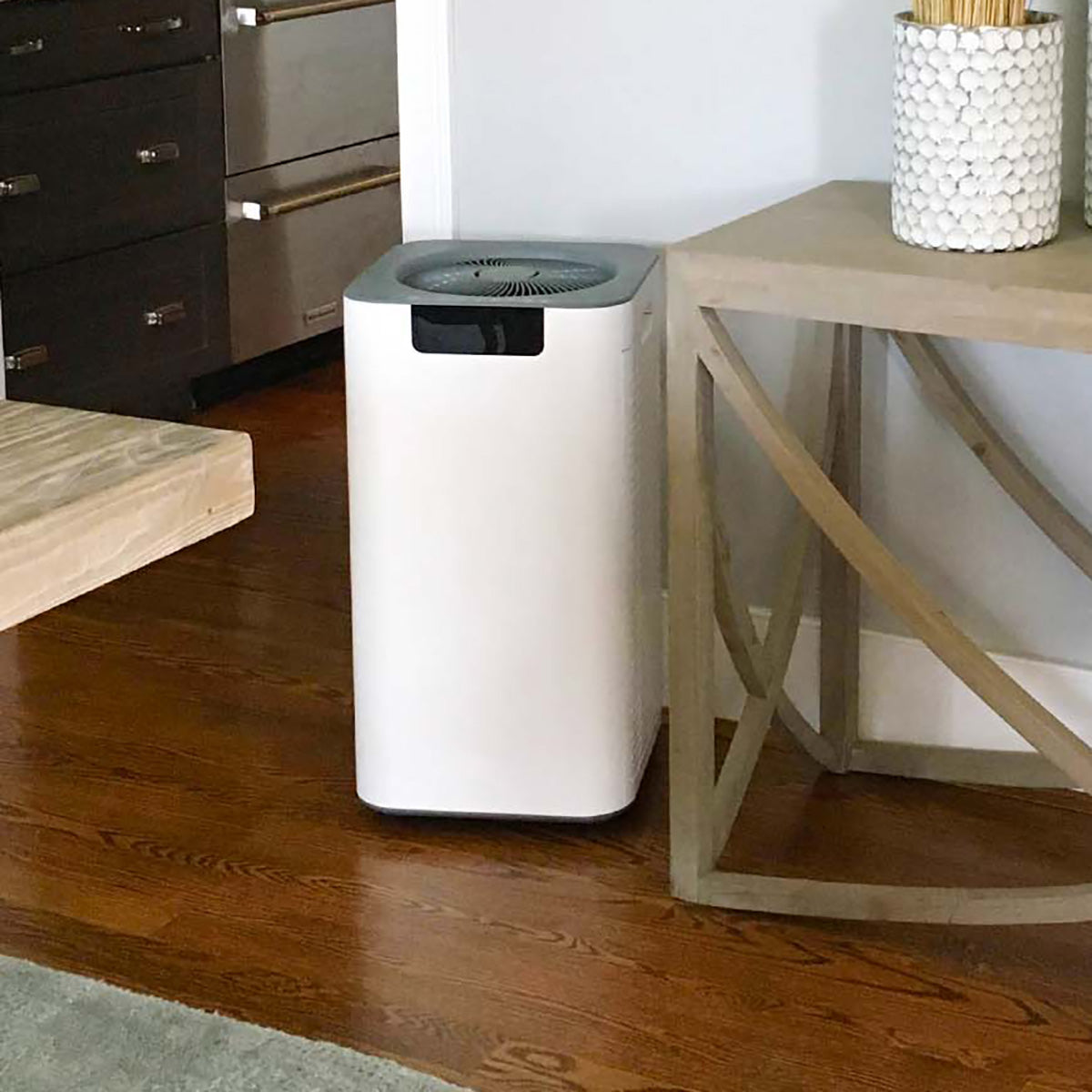 Whole House Air Purifier