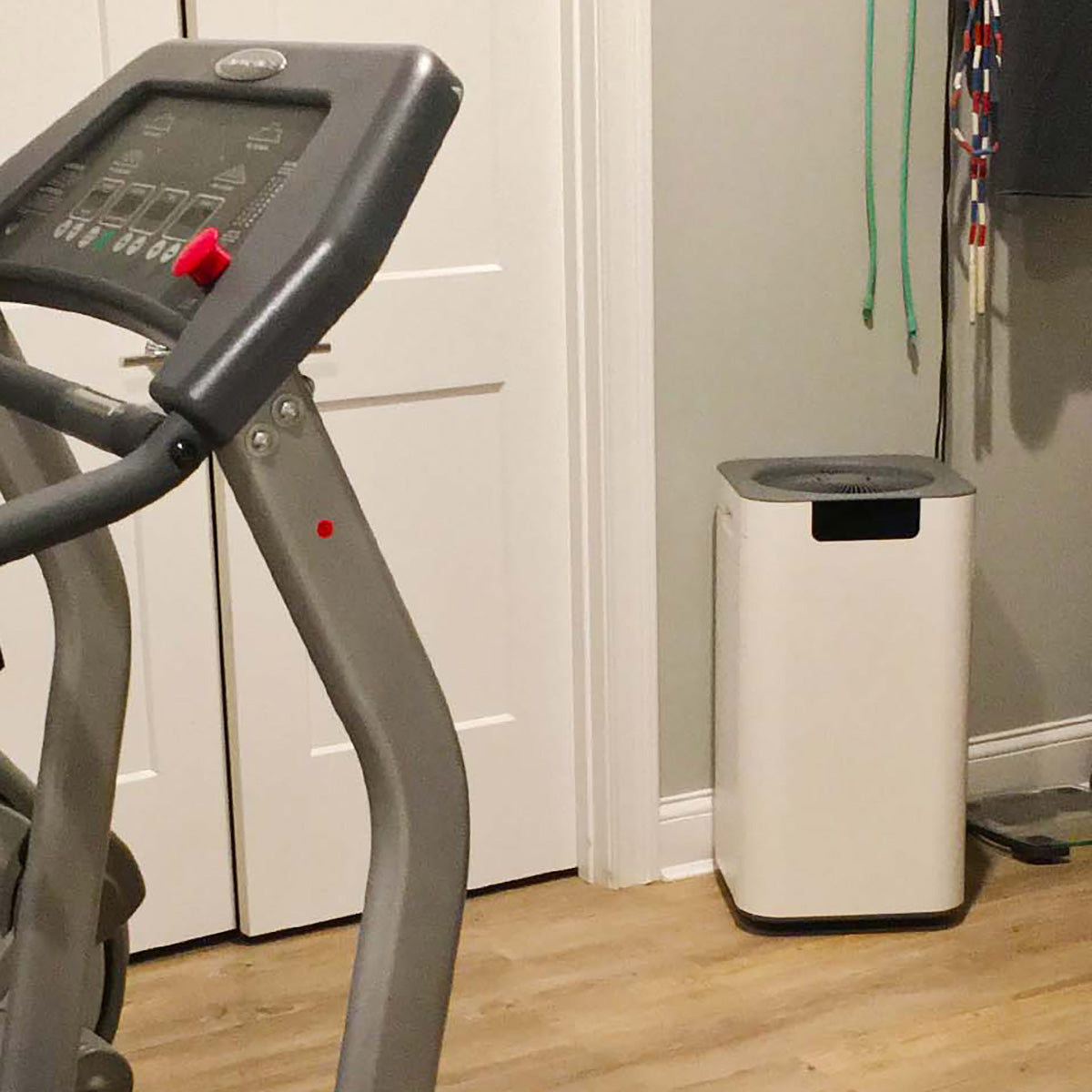 Whole House Air Purifier