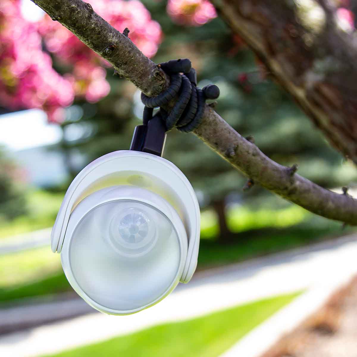 Portable Motion Activated Light