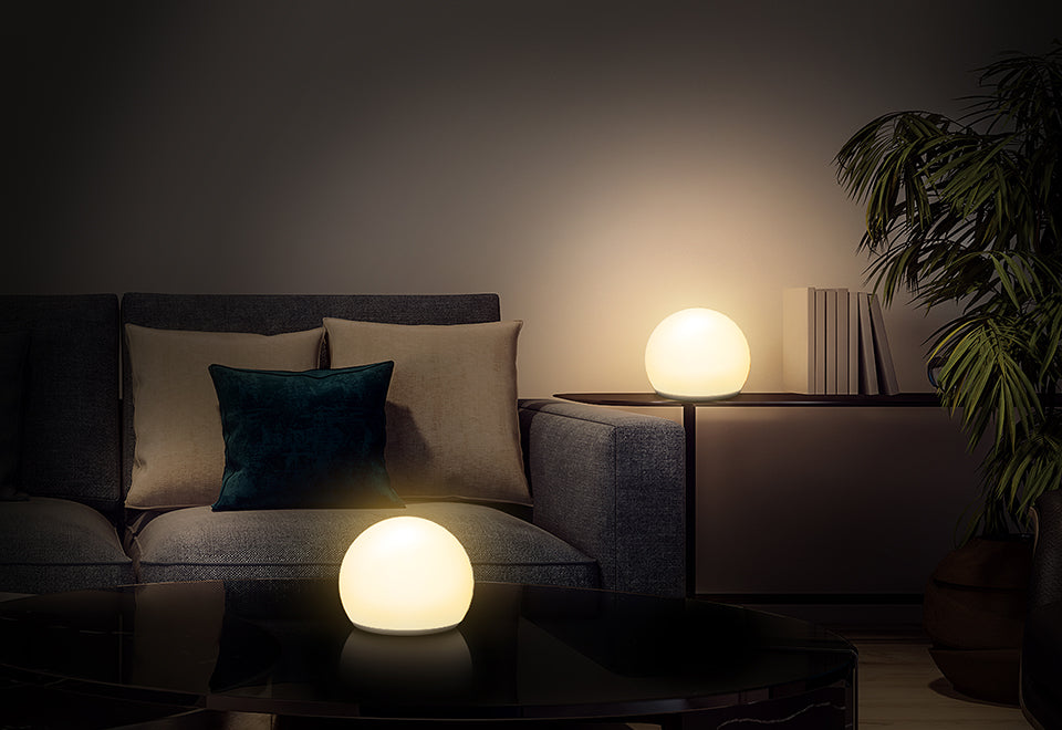 Portable LED Orb Light