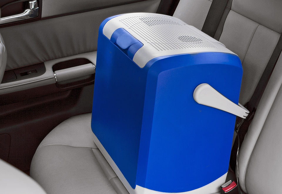 Portable Fridge and Food Warmer