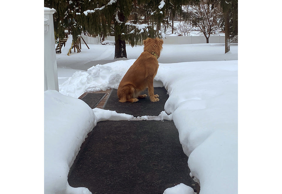 Heated Snow Melting Door Mat