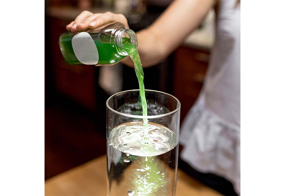 Natural Algae Air Purifier