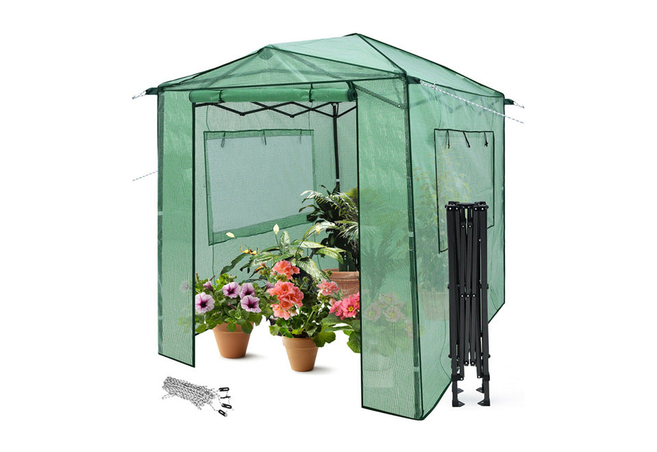 Pop-Up Greenhouse
