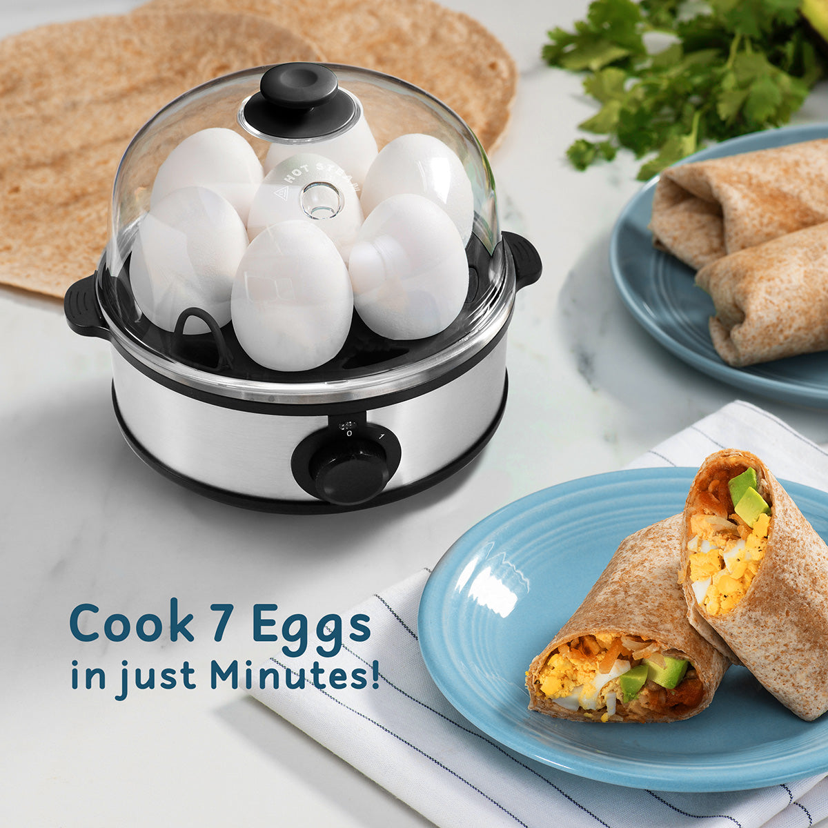 Stainless Steel Easy Egg Cooker