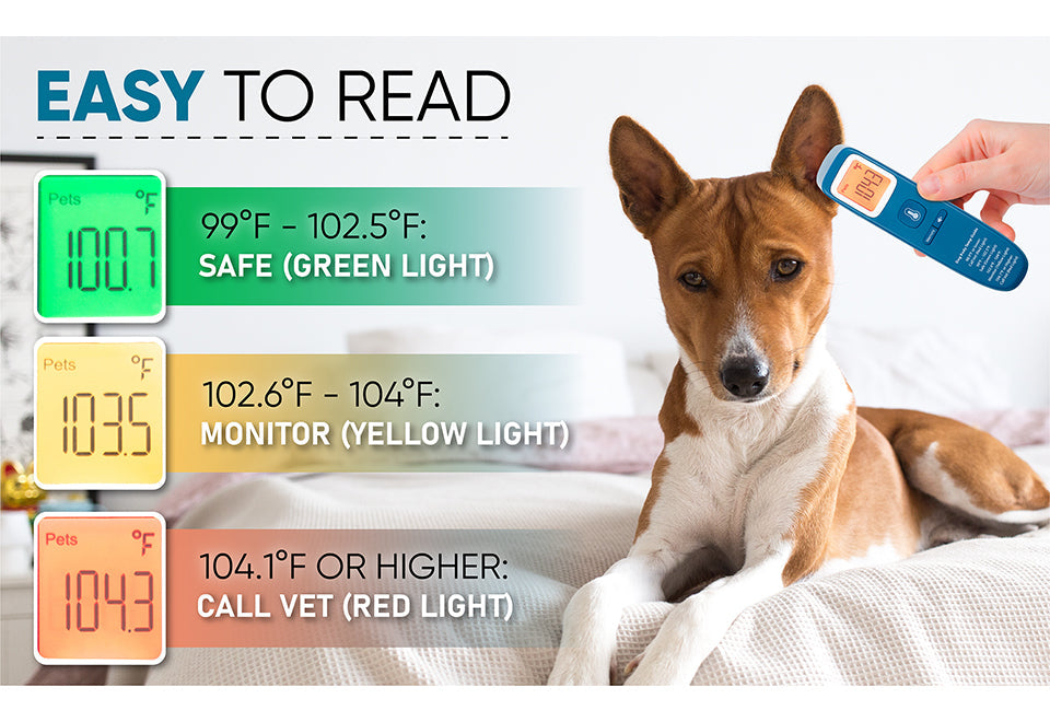 No-Contact Dog Thermometer