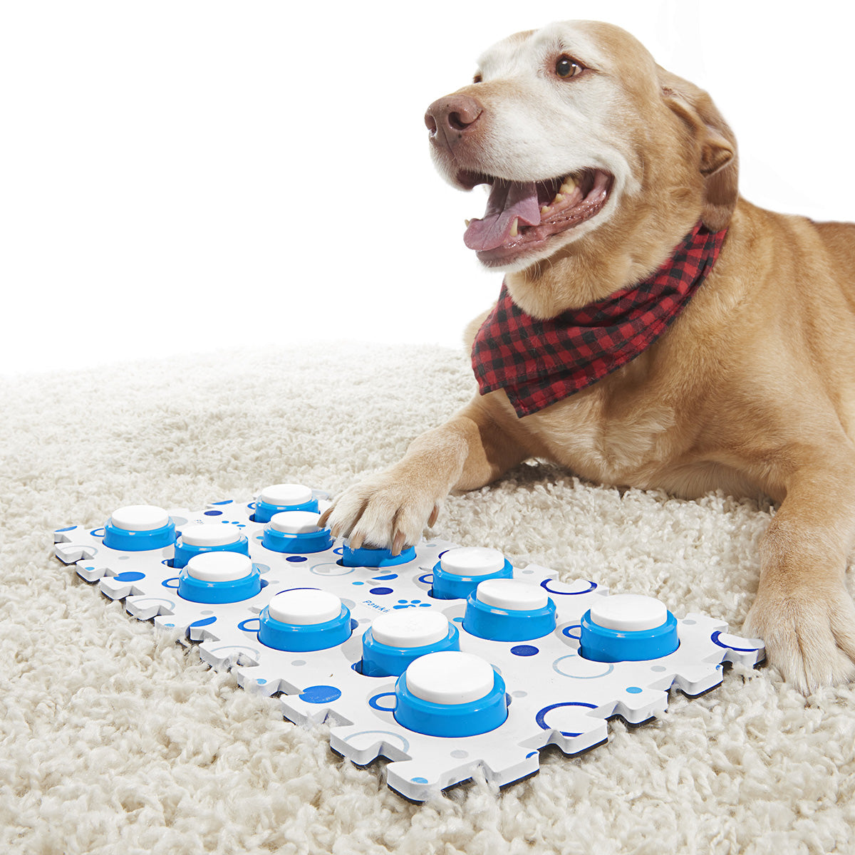 Recordable Pet Training Buttons