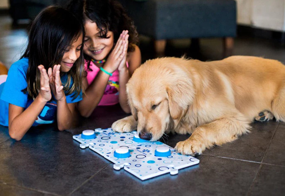 Recordable Pet Training Buttons