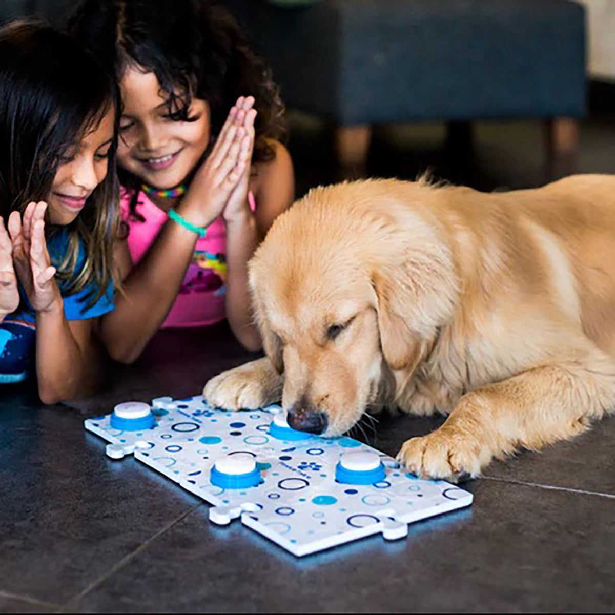 Recordable Pet Training Buttons