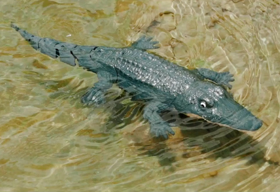RC Robot Crocodile