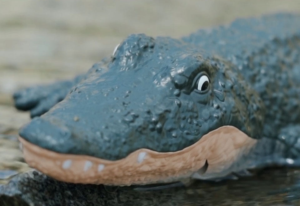 RC Robot Crocodile