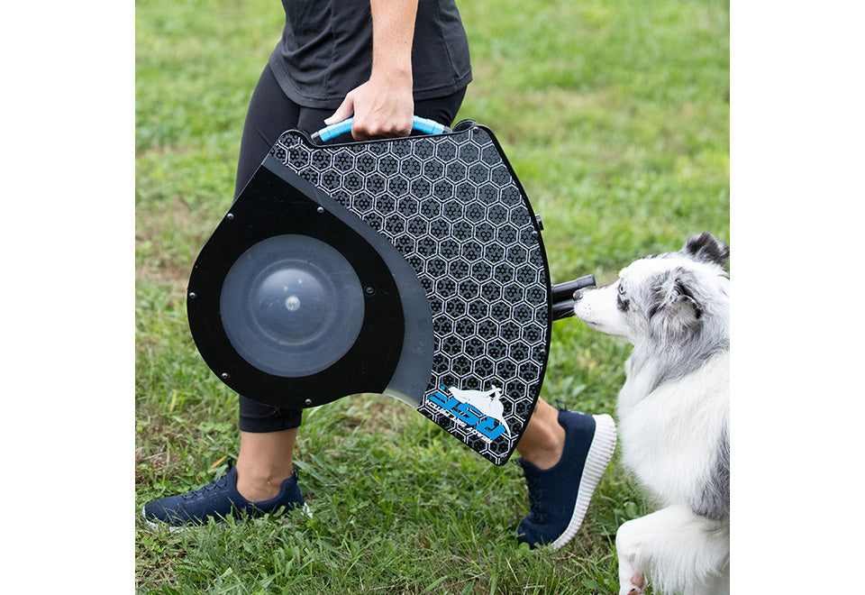 Automatic Dog Disc Launcher