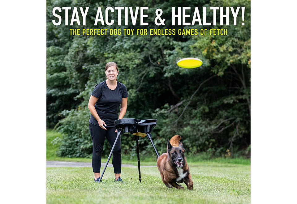 Automatic Dog Disc Launcher