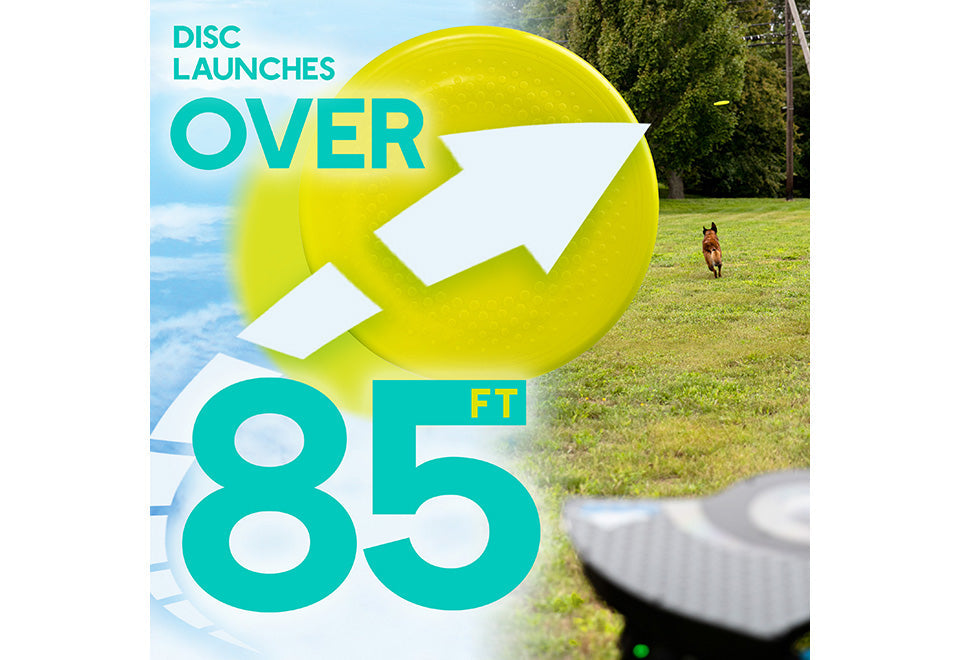 Automatic Dog Disc Launcher