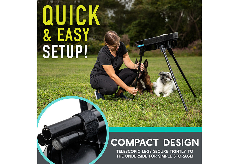 Automatic Dog Disc Launcher