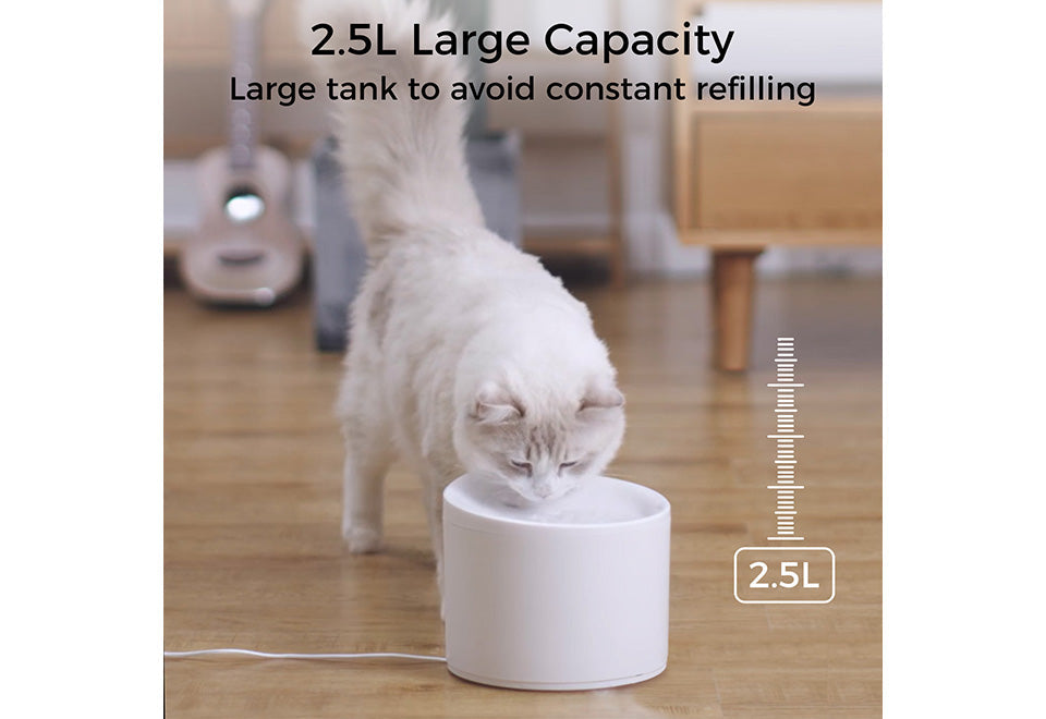 Smart Pet Water Fountain