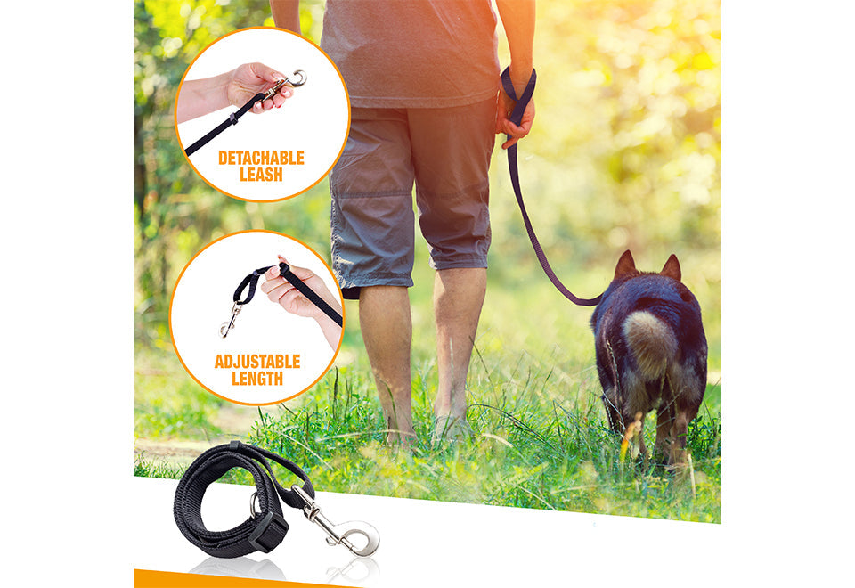 Swiveling Dog Bike Leash Attachment
