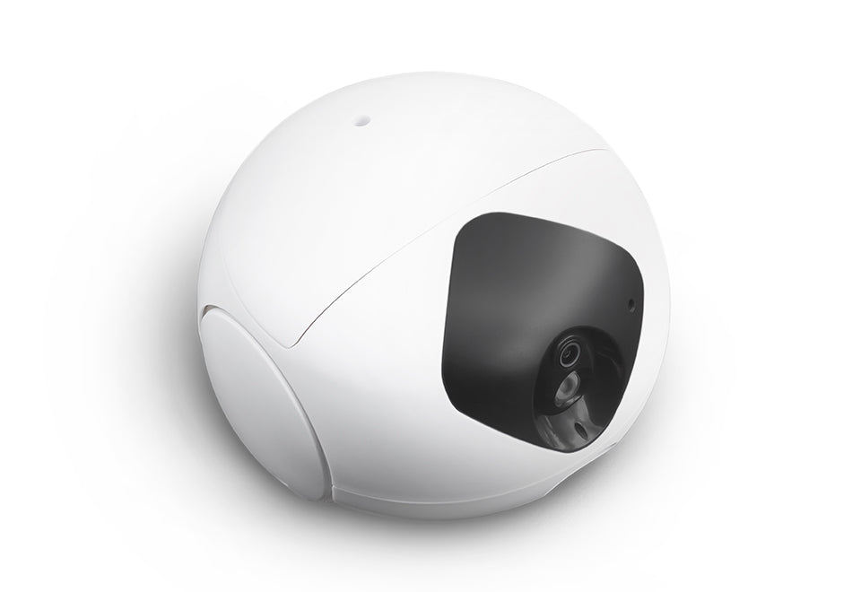 Robotic Pet Interaction Toy