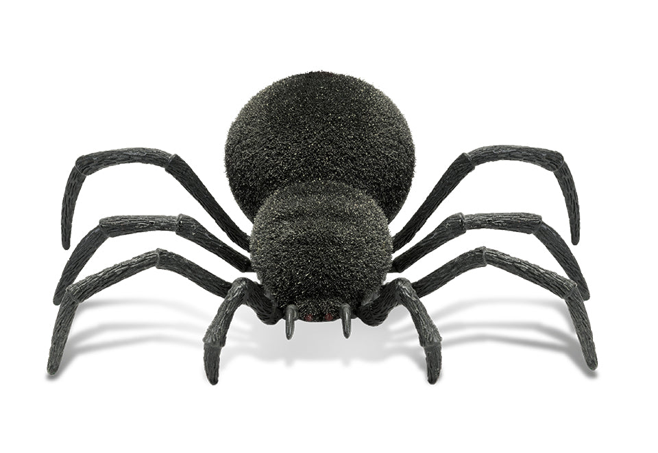 Spooky RC Spider