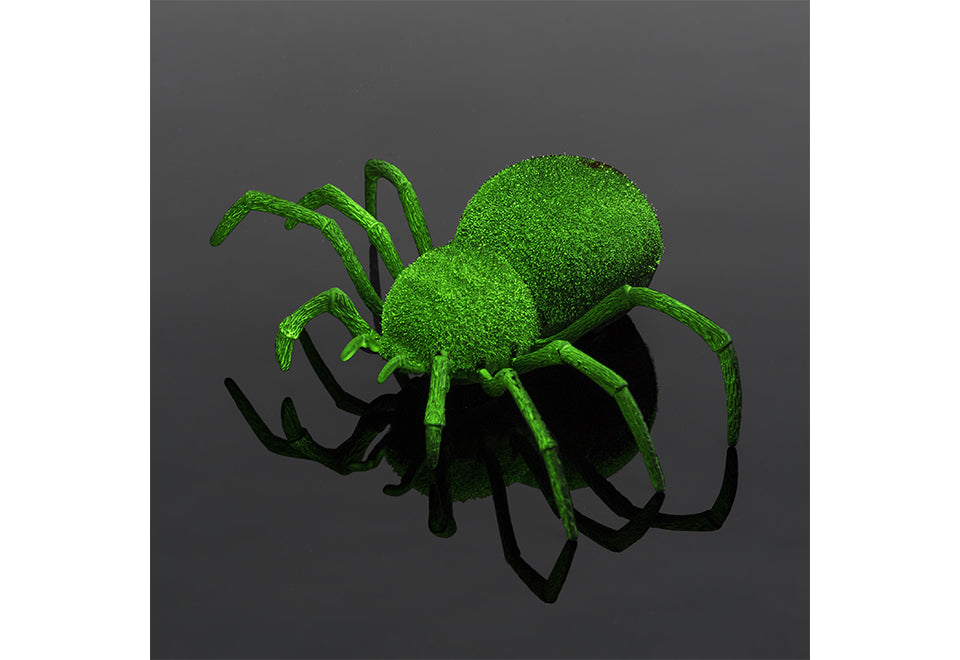 Spooky RC Spider