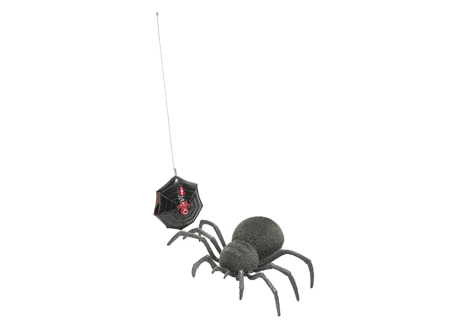 Spooky RC Spider