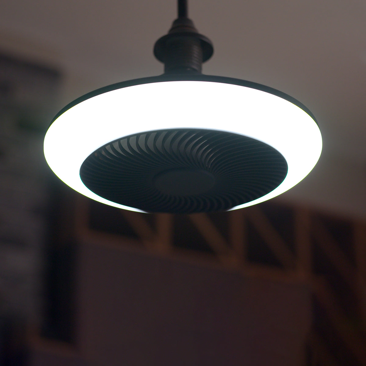 Light Socket Fan and Light