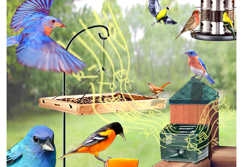 Electronic Bird Caller