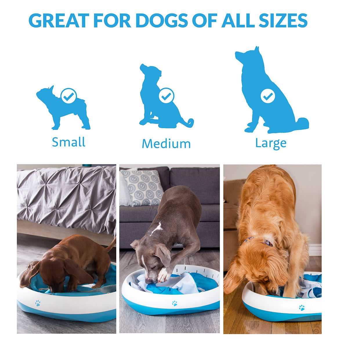 Digging Toy for Dogs