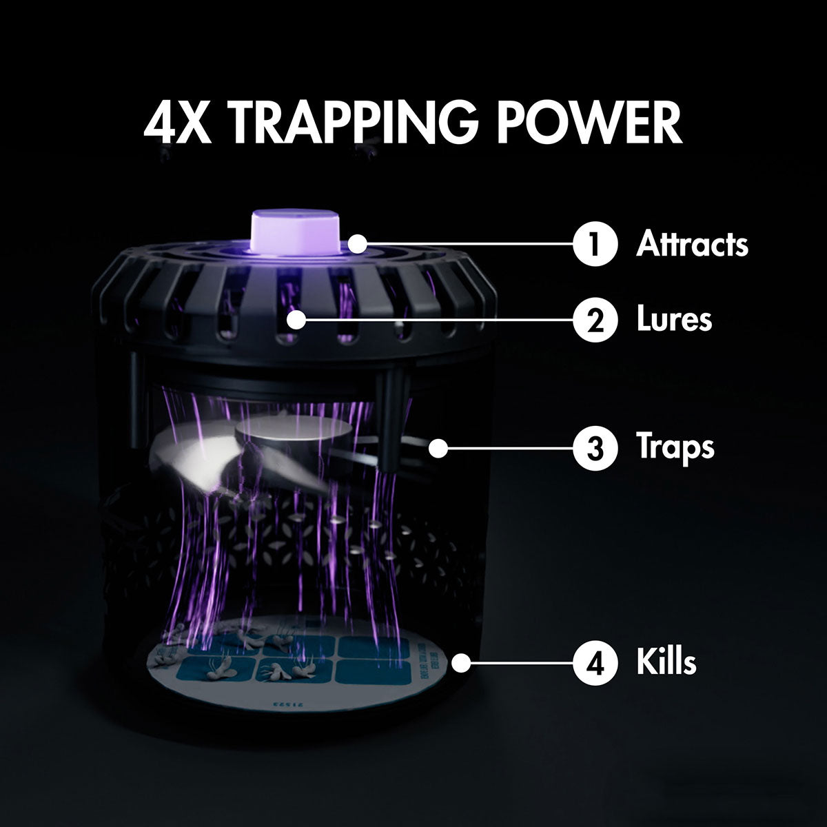 LED Indoor Fruit Fly Trap