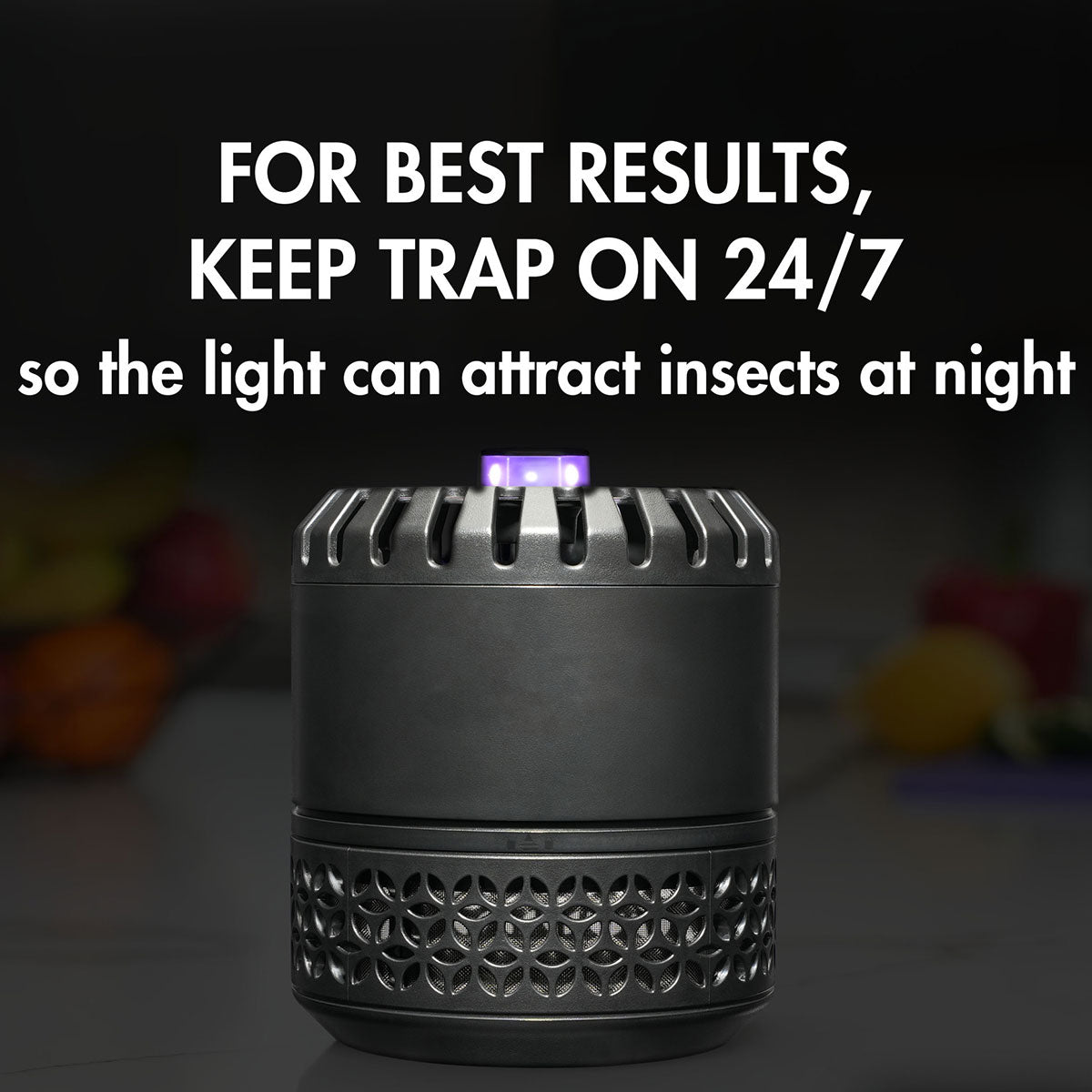 LED Indoor Fruit Fly Trap