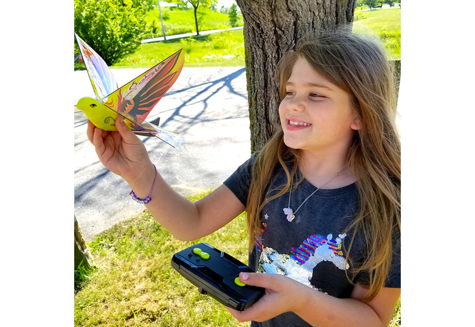 RC Flying Bird (Set of 2)
