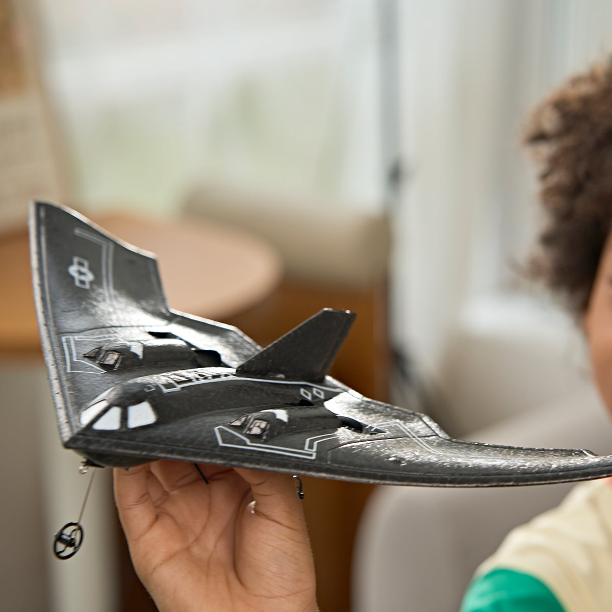 Smithsonian RC Stealth Aircraft