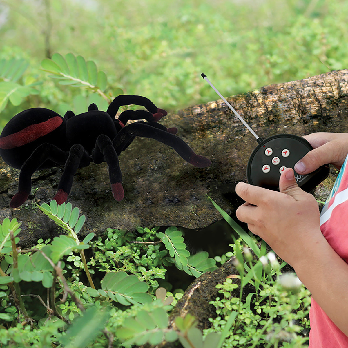 RC Tarantula