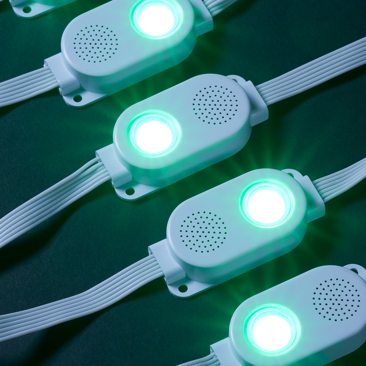 Smart LED String Lights with Speakers