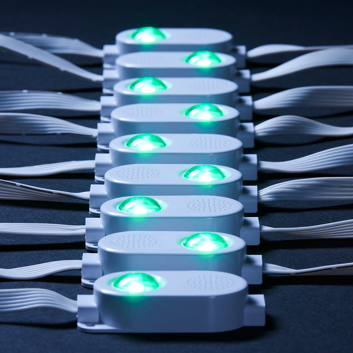 Smart LED String Lights with Speakers