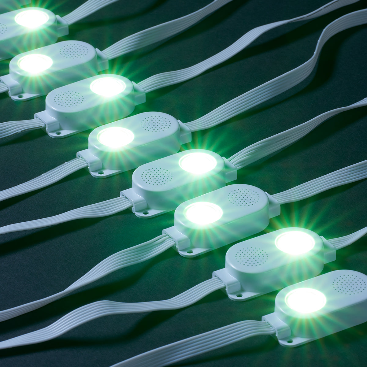 Smart LED String Lights with Speakers