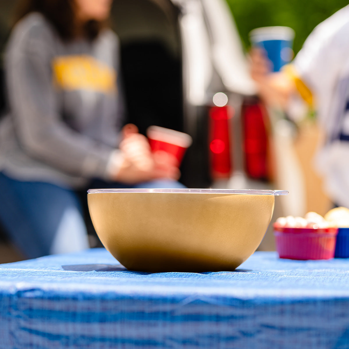 Vacuum-Insulated Serving Bowl
