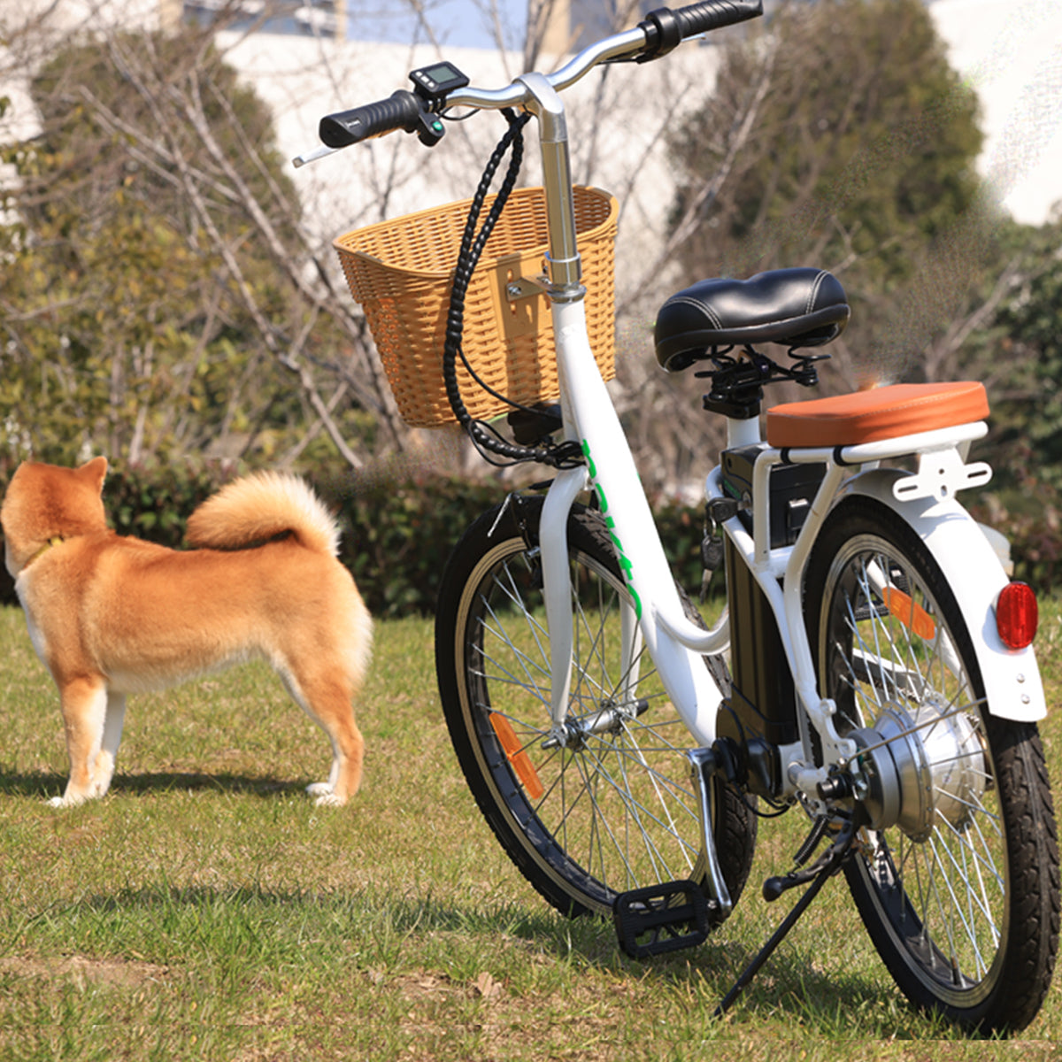 NAKTO Elegance Electric Bike