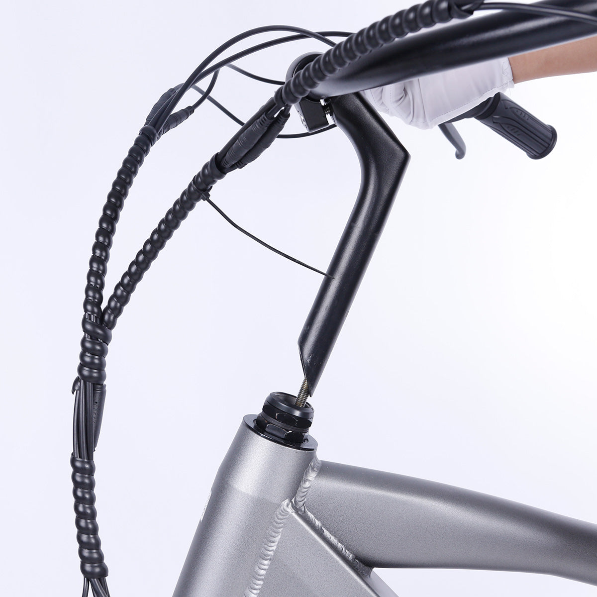 NAKTO Santa Monica Electric Bike