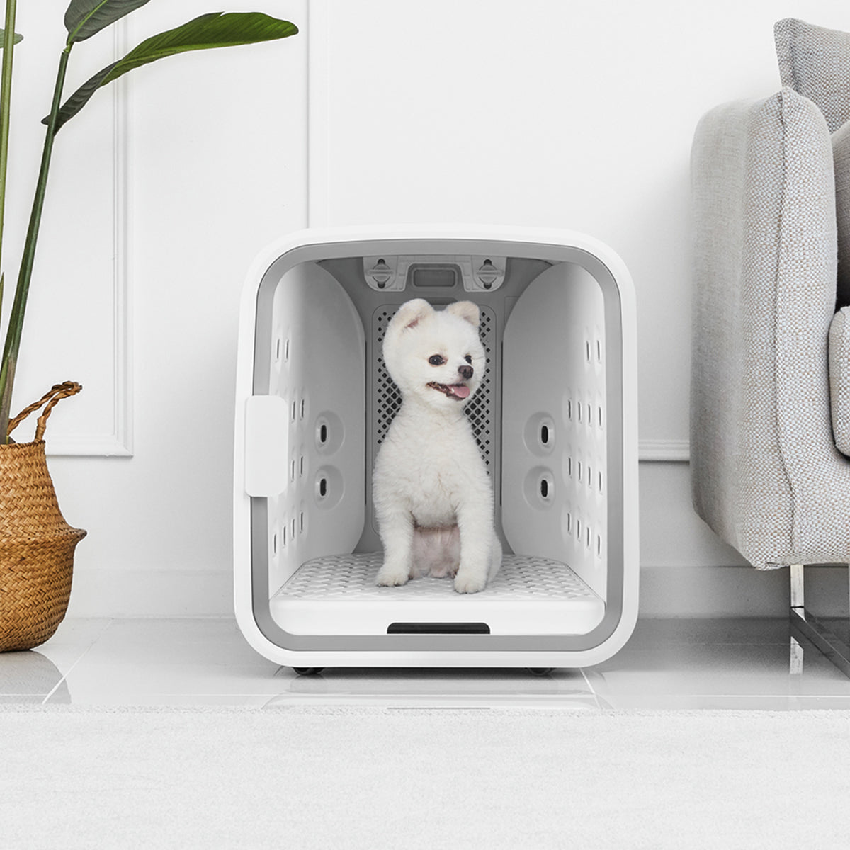 Automatic Pet Dryer Box