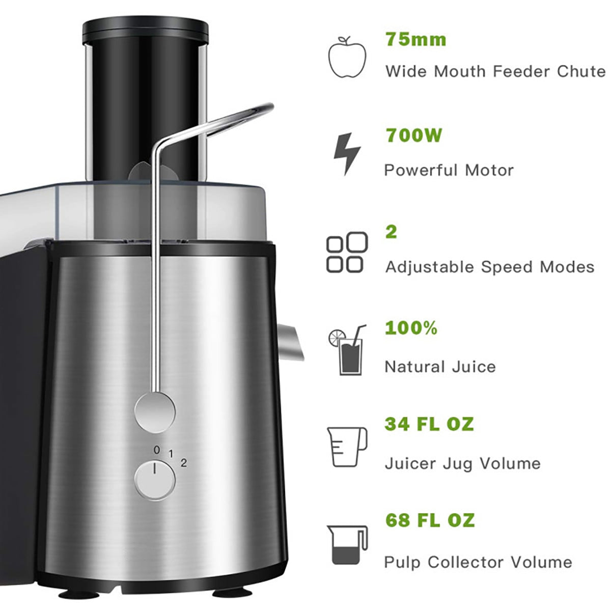 2-Speed Electric Juice Press
